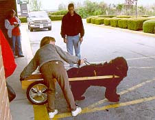 Beth showing hookup on Buoy