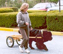 Beth and Buoy - on-leash