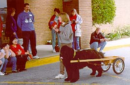 Beth with Buoy standing with cart