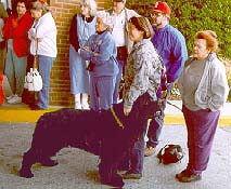 Judy holds Buoy now...
