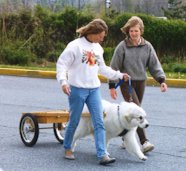 Walking the puppy - fully connected