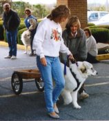 Pup in shafts, but not connected
