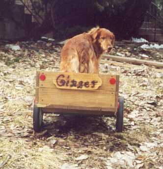 Ginger and her vanity plate