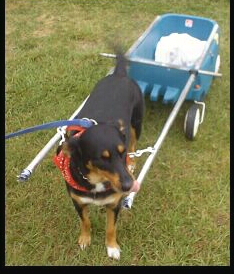 Jasmine - top view of rig