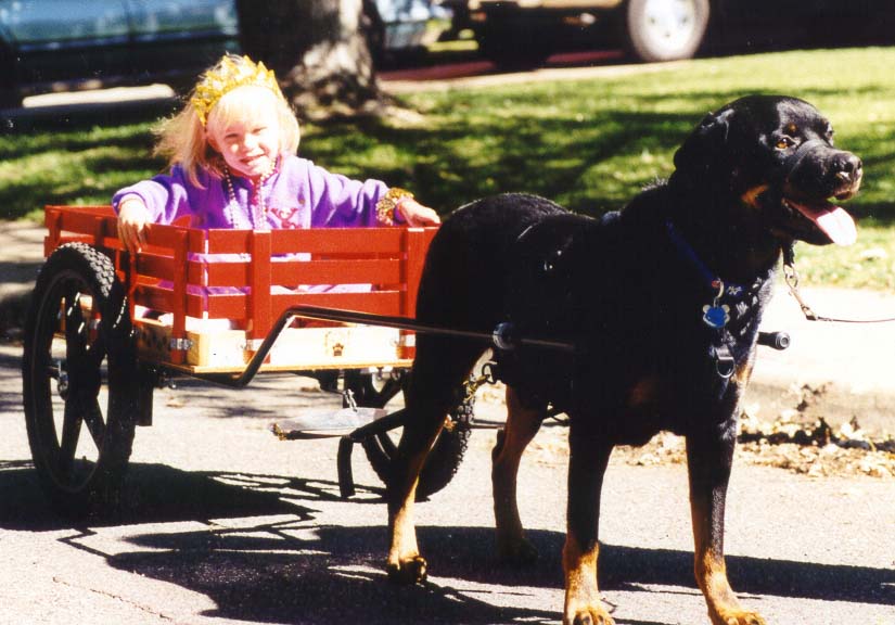 Parker with child in cart