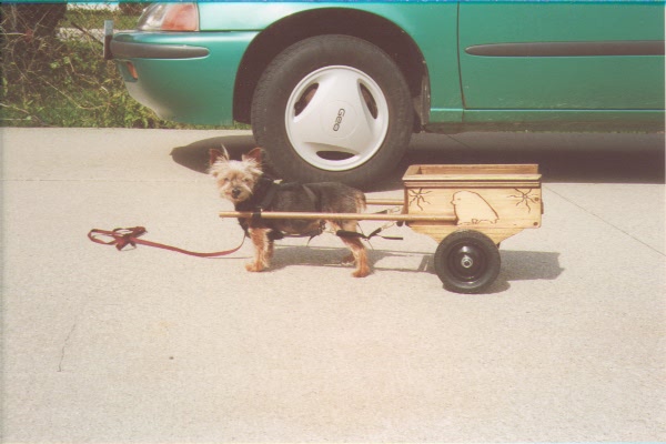 Cassie and a two-wheel cart