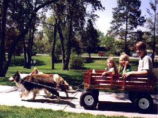 TrulieBraw and Coffy