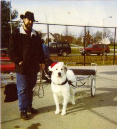 Sam at school fund-raiser