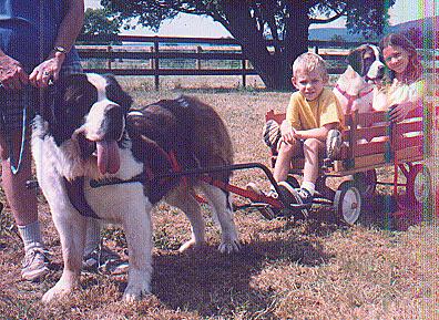 Ben, cart, pup and kids