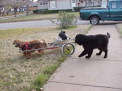 Thunder and Lightning in tandem shafts